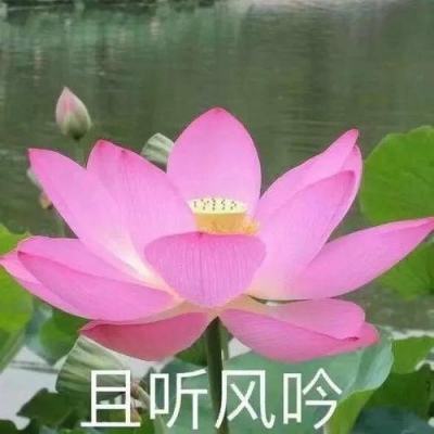 黑龙江黑河市政协原党组书记、主席陈洪生接受审查调查